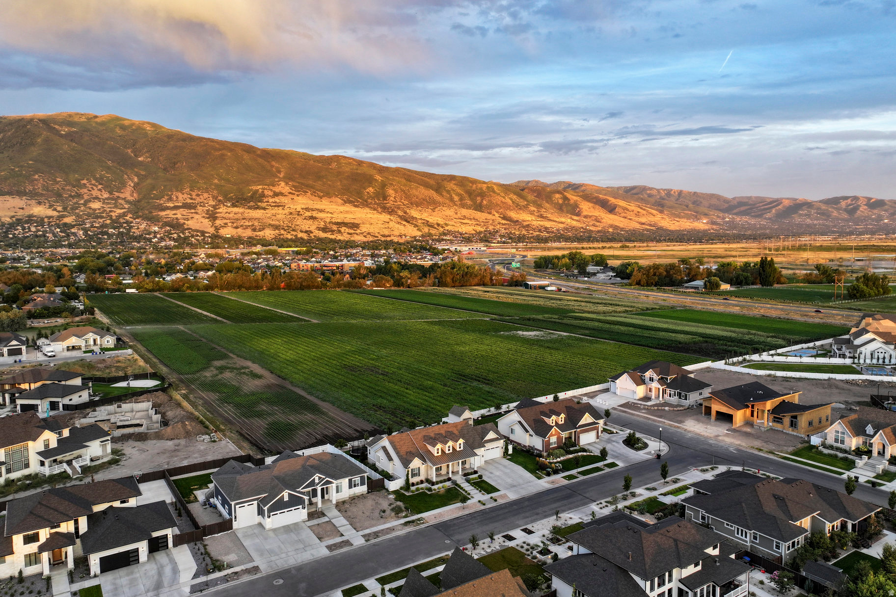 CHESTNUT FARMS - Residential