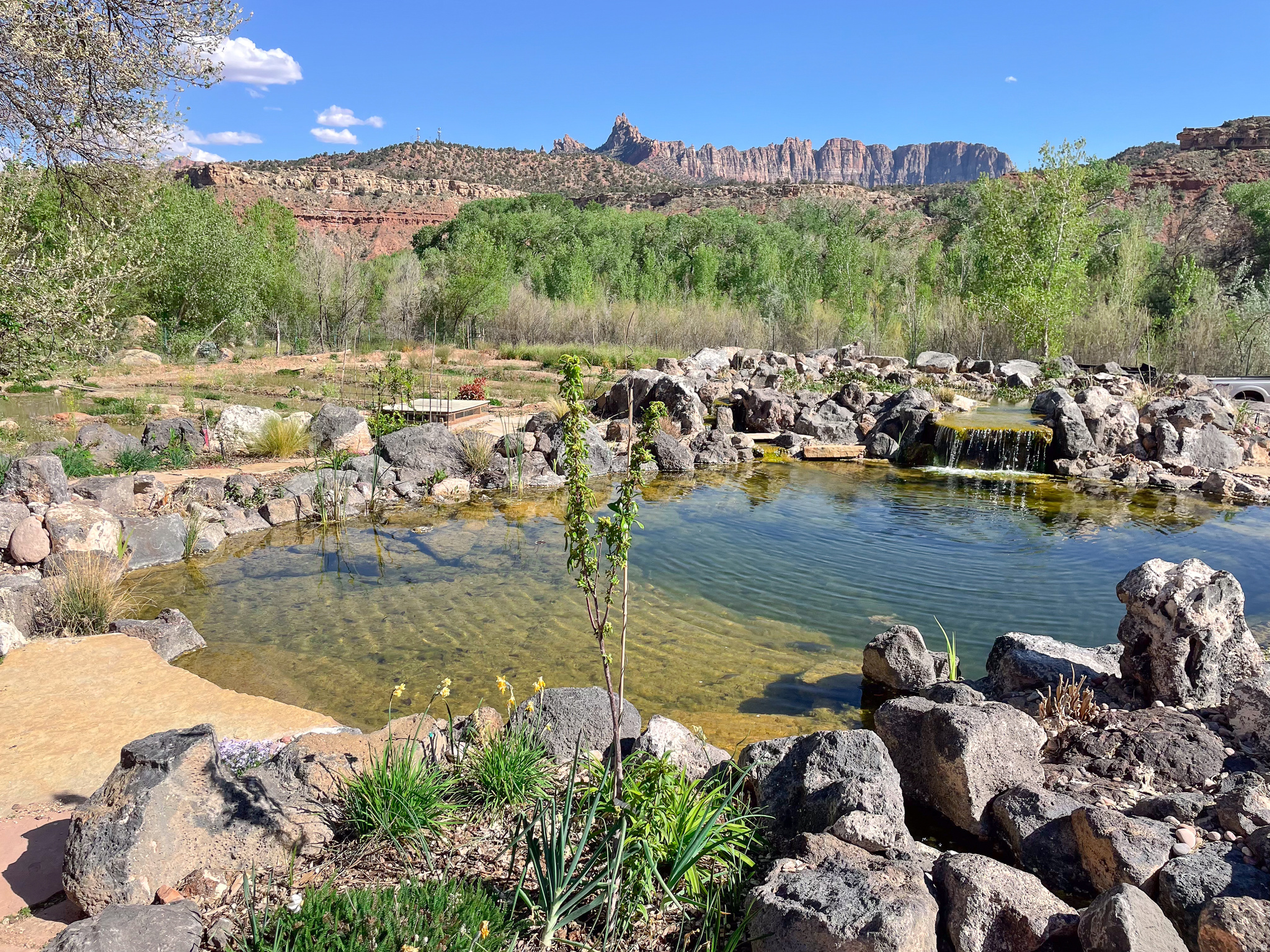 ROCKVILLE TOWNSITE SRVY - Residential