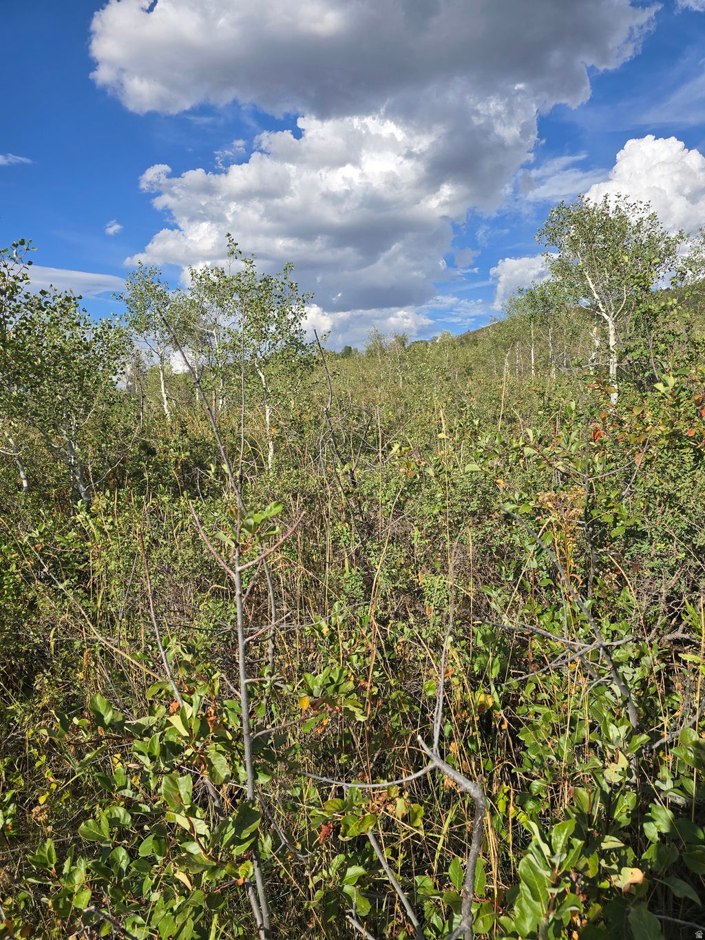 Photo of Avon, UT 84328 (MLS # 2181829)