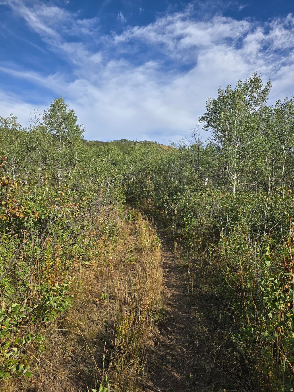 Photo of Avon, UT 84328 (MLS # 2181829)