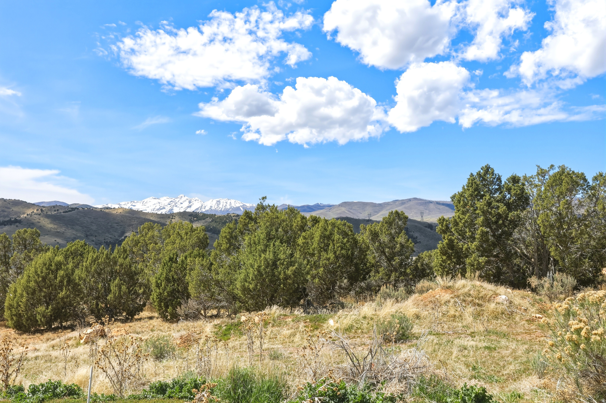 EAGLE'S LANDING - Land