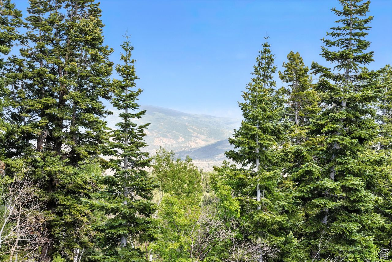 PINE MEADOW RANCH - Residential