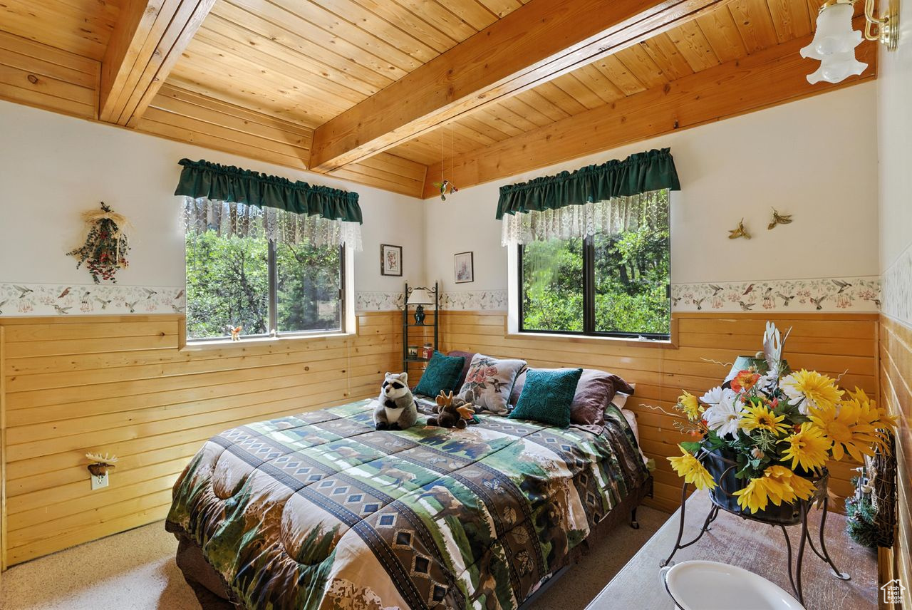 PINE MEADOW RANCH - Residential