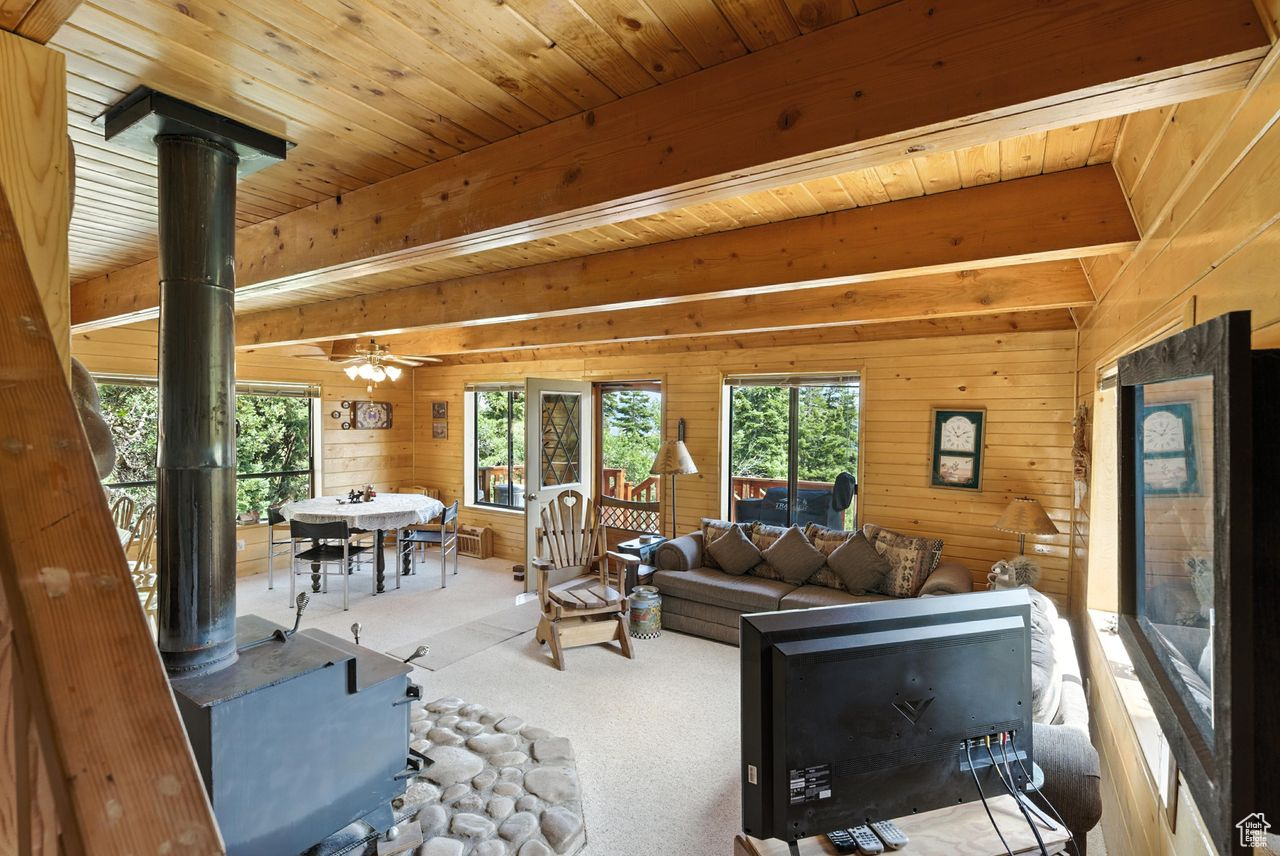 PINE MEADOW RANCH - Residential