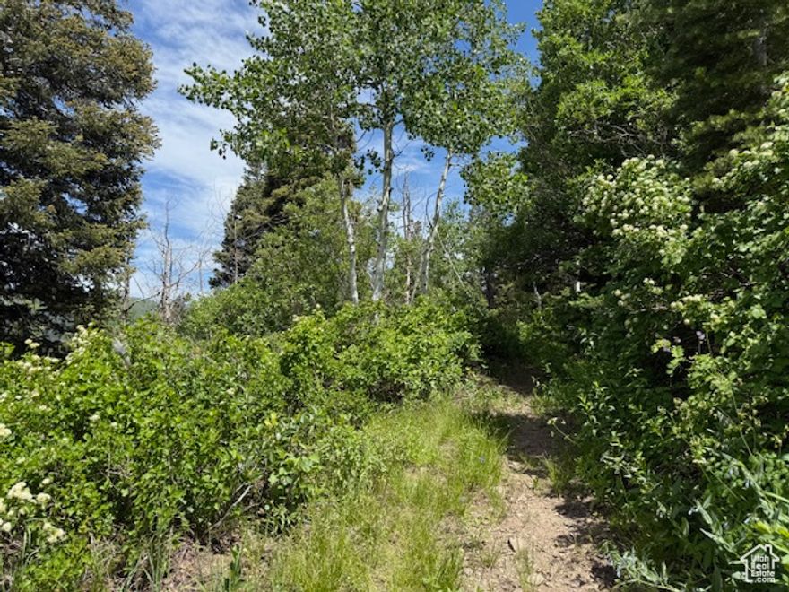 Lamb's Canyon, located between Salt Lake City and Summit Park is named after Abel Lamb, a cooper who built the first road into the canyon in 1850. He and his sons used the road to haul wood for making essential items like barrels, tubs, and washboards for the early settlers. The canyon has also seen use as a source of timber for building, a sawmill location, and a toll road. Today, Lamb's Canyon is a popular area for hiking, recreation, and enjoying the natural beauty surrounding Salt Lake City. Owners are offering 7 unimproved lots that they own-buy one or all-$30K each. What are building restrictions on the lots? Check with Salt Lake County on zoning and permitting. Drilling for water is restricted as it's a watershed area.  Many cabin owners buy a cistern and have it filled periodically with potable water.  Can you level the lots to build? It would have to be permitted, but probably not likely. The sellers put up a flat structure for a tent on one lot, but it was destroyed by winter snow. Will the road to the lots ever be paved? No, it's graded periodically but never paved or planned for paving. The area is only assessable by snowshoe in the winter.  Sewer line available? Only septic if approved by the County. Is the buried electric lines along the main road accessible to the lots? Yes