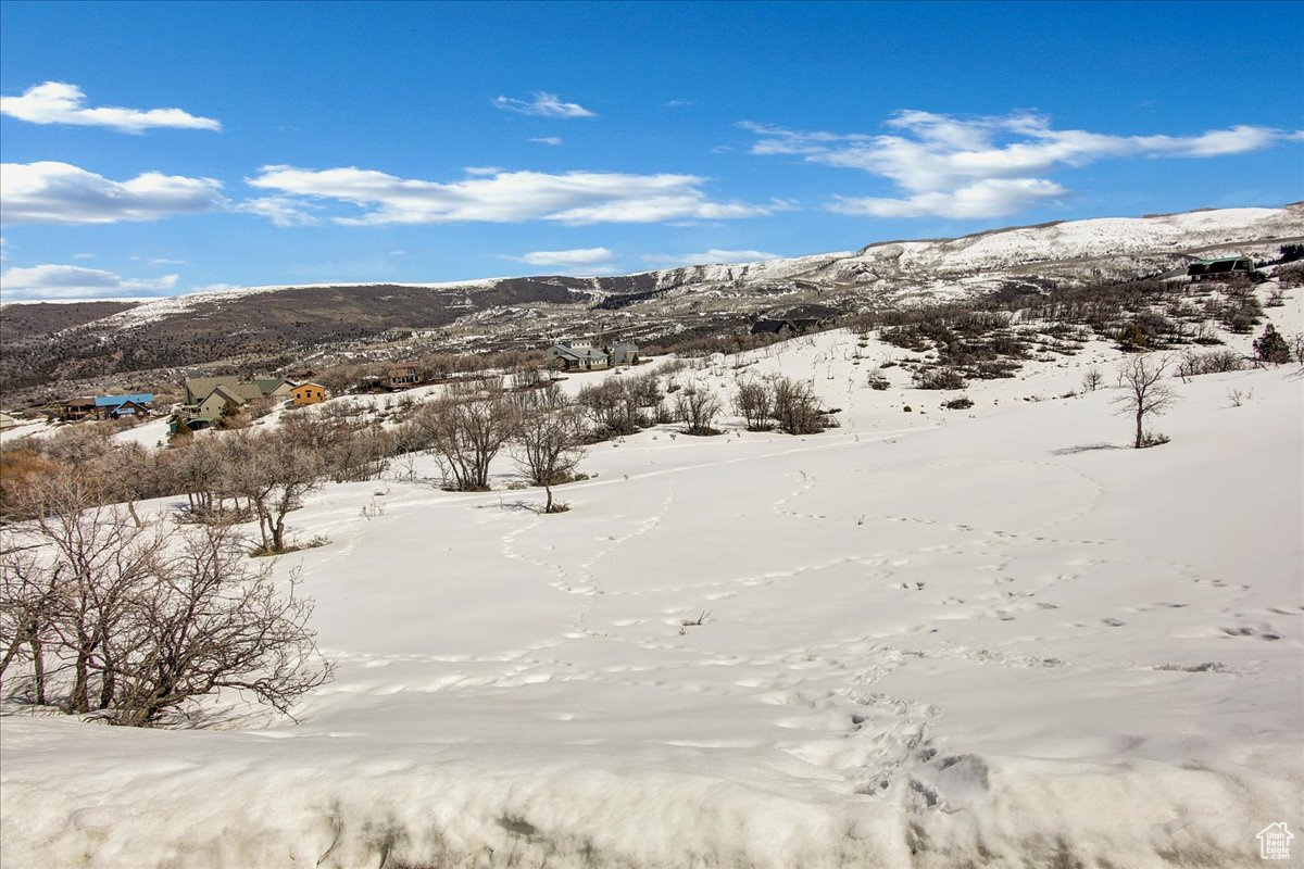 2423 Timber Lakes Dr #1053, Heber City, Utah image 28