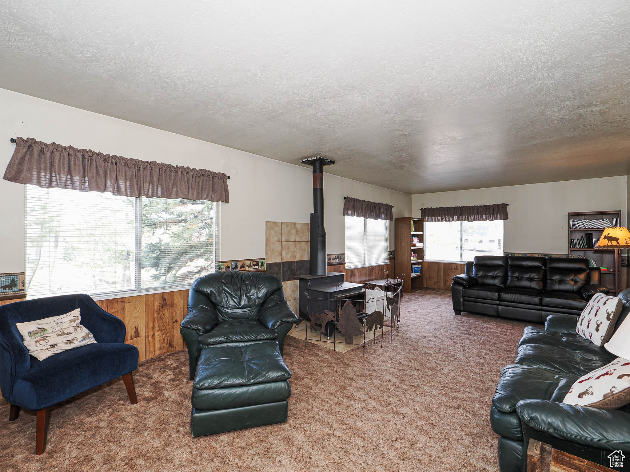 SKYLINE MOUNTAIN - Residential