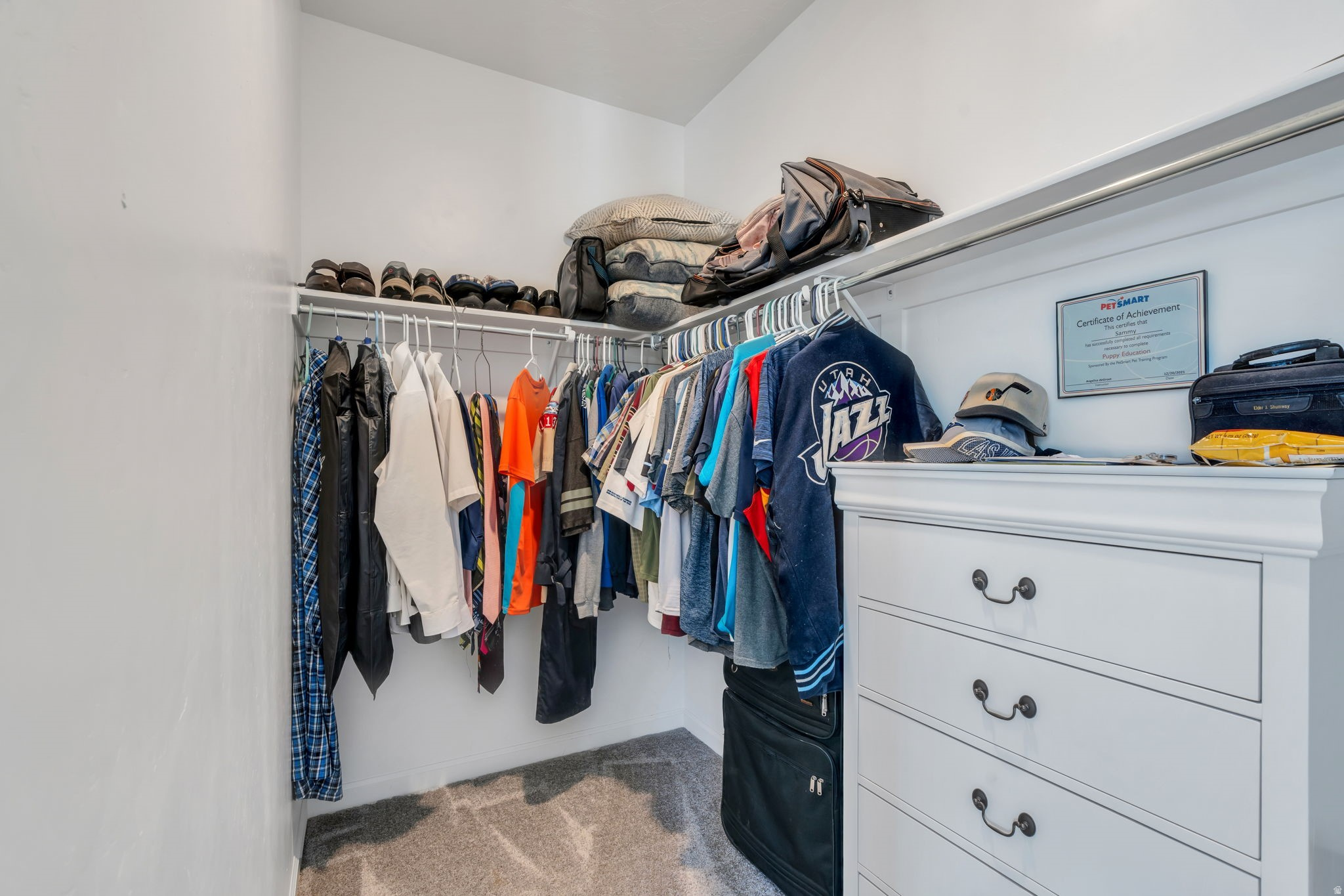 PASTURES AT SADDLEBACK - Residential