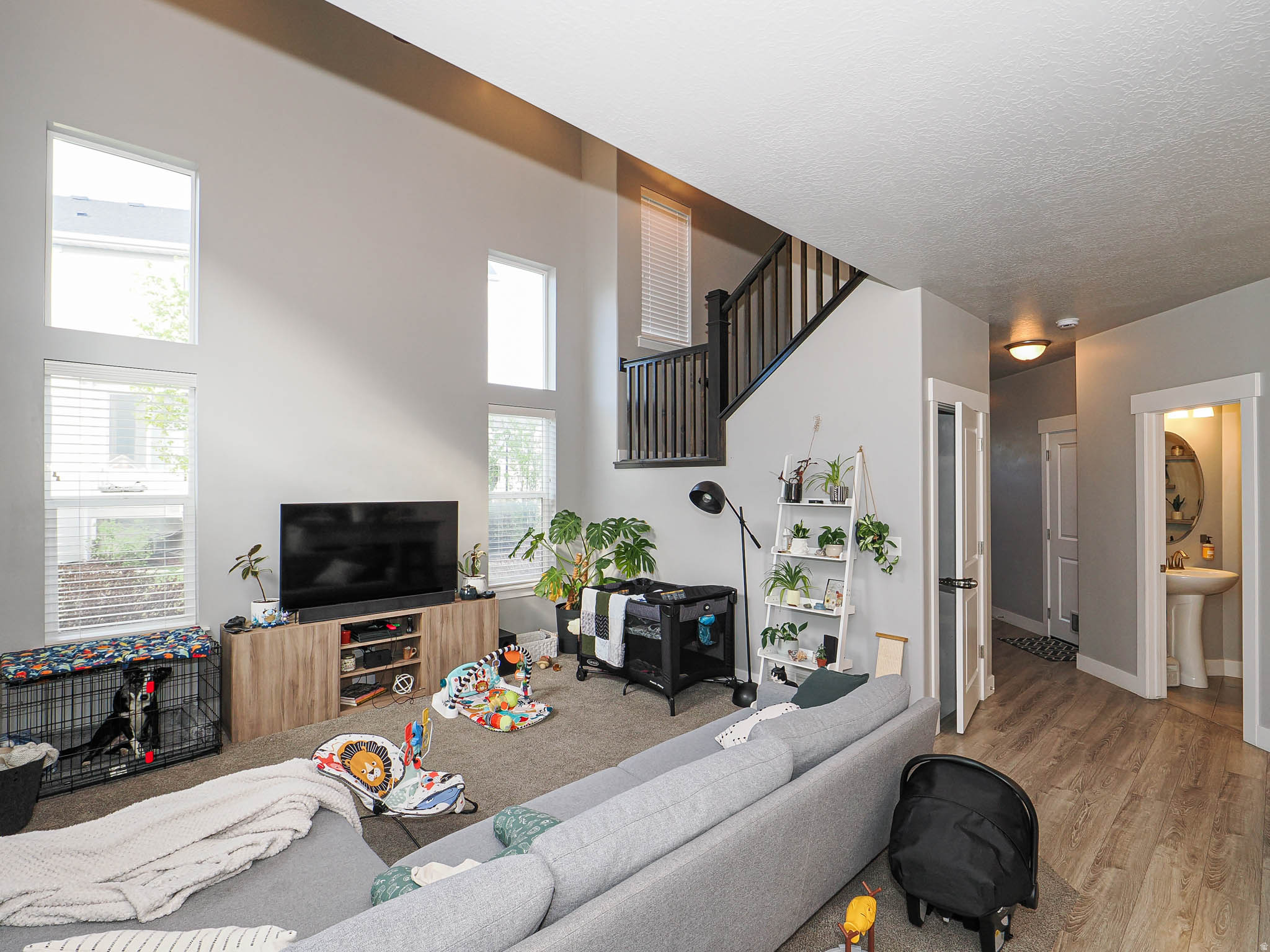 IRON HORSE TOWNHOMES HOA - Residential