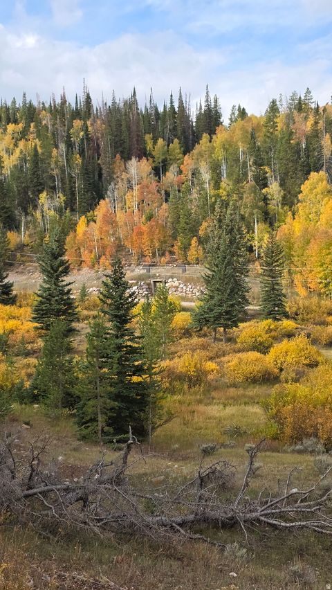 Tiny photo for 4308 FOOTHILL DR #11, Kamas, UT 84036 (MLS # 2149325)