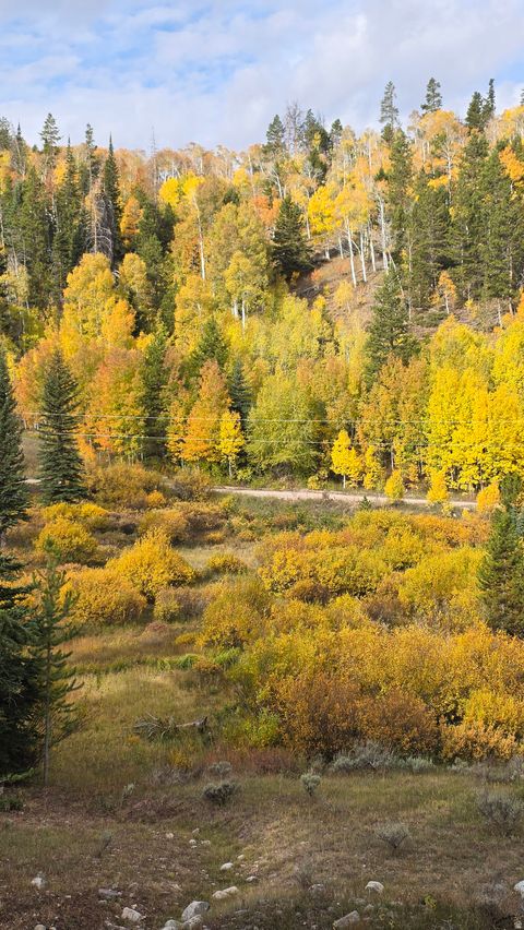 Tiny photo for 4308 FOOTHILL DR #11, Kamas, UT 84036 (MLS # 2149325)