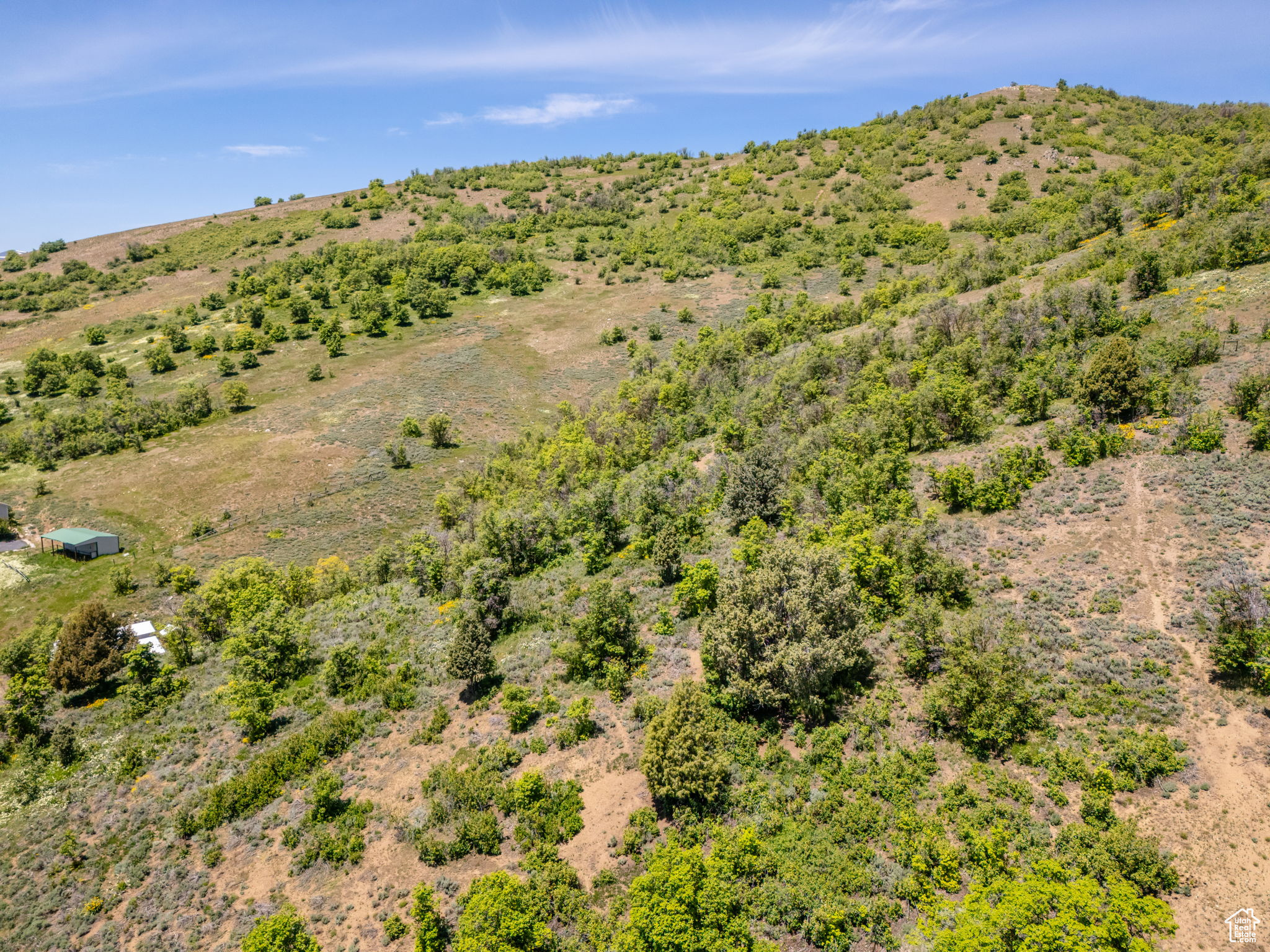 9658 E Kelley Dr #65, Huntsville, Utah image 33