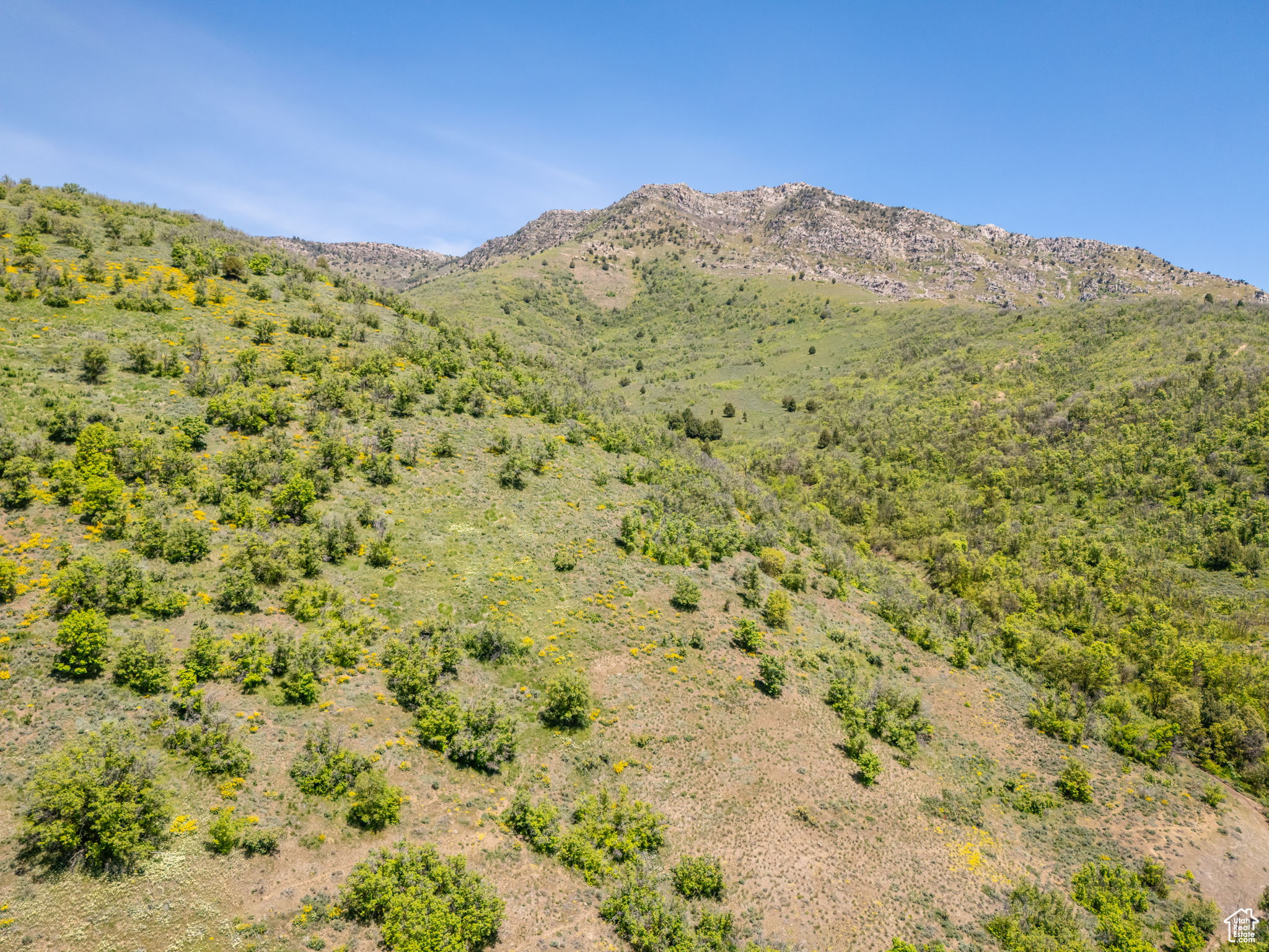 9658 E Kelley Dr #65, Huntsville, Utah image 30