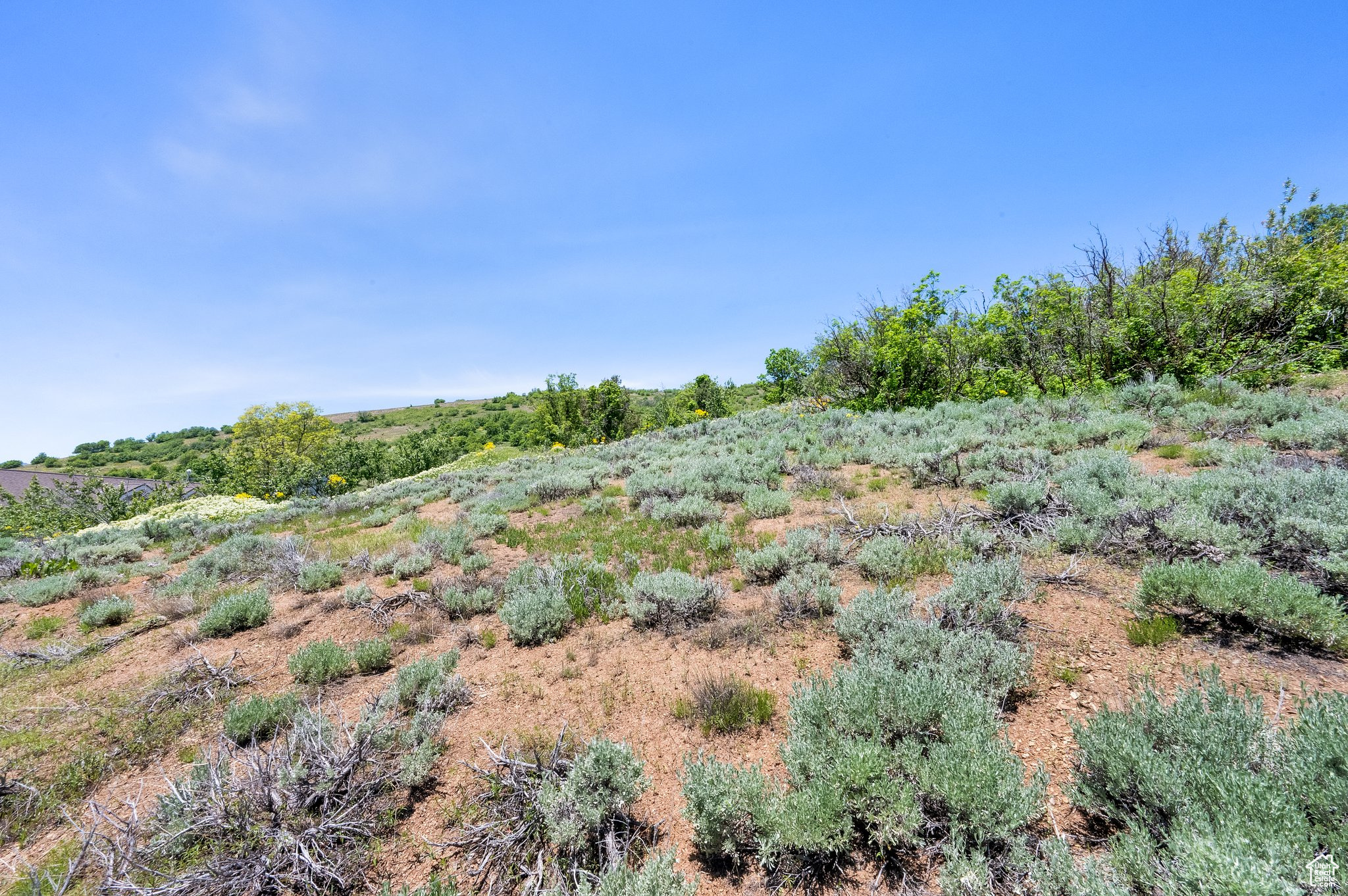 9658 E Kelley Dr #65, Huntsville, Utah image 21