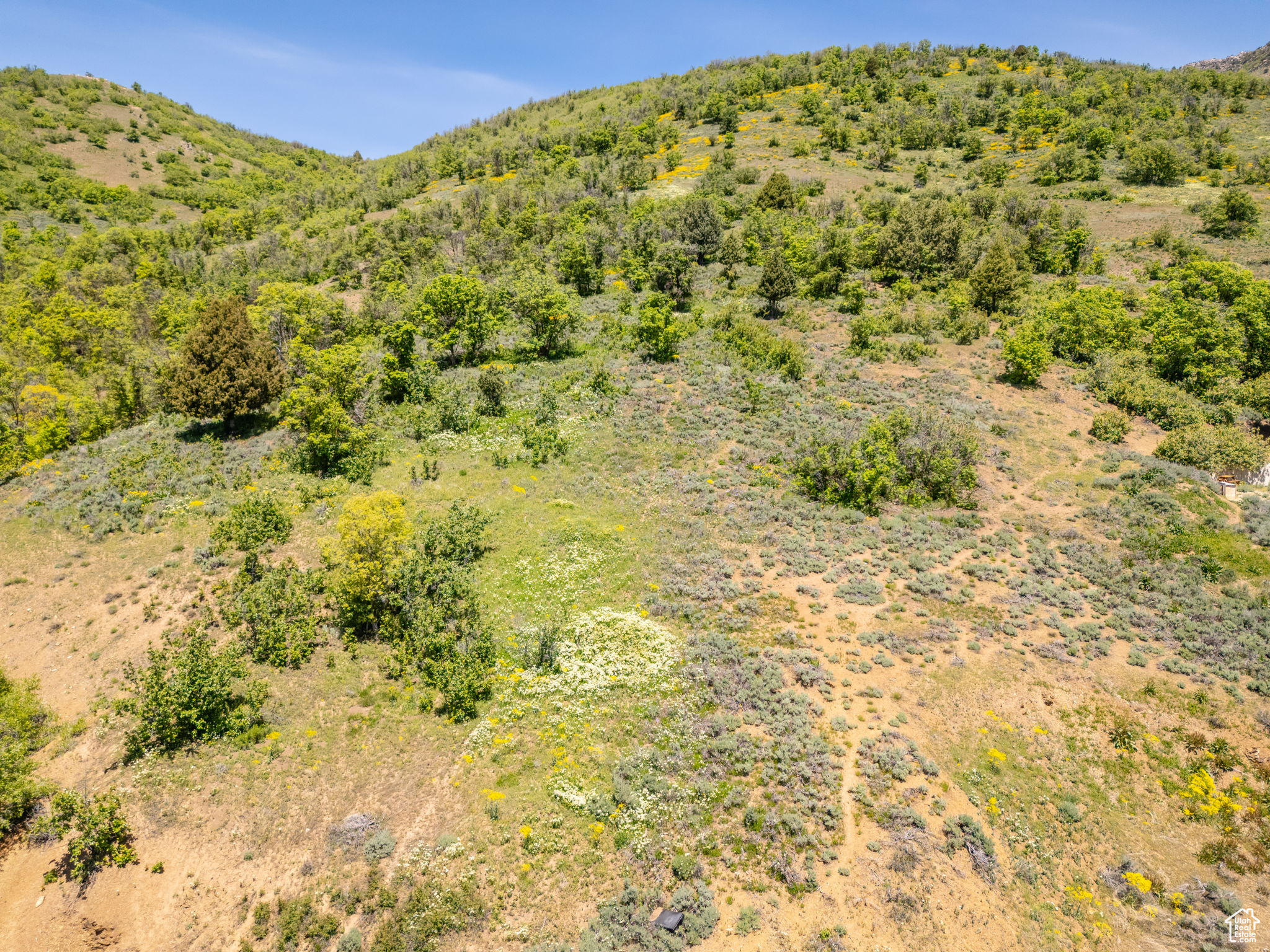 9658 E Kelley Dr #65, Huntsville, Utah image 28