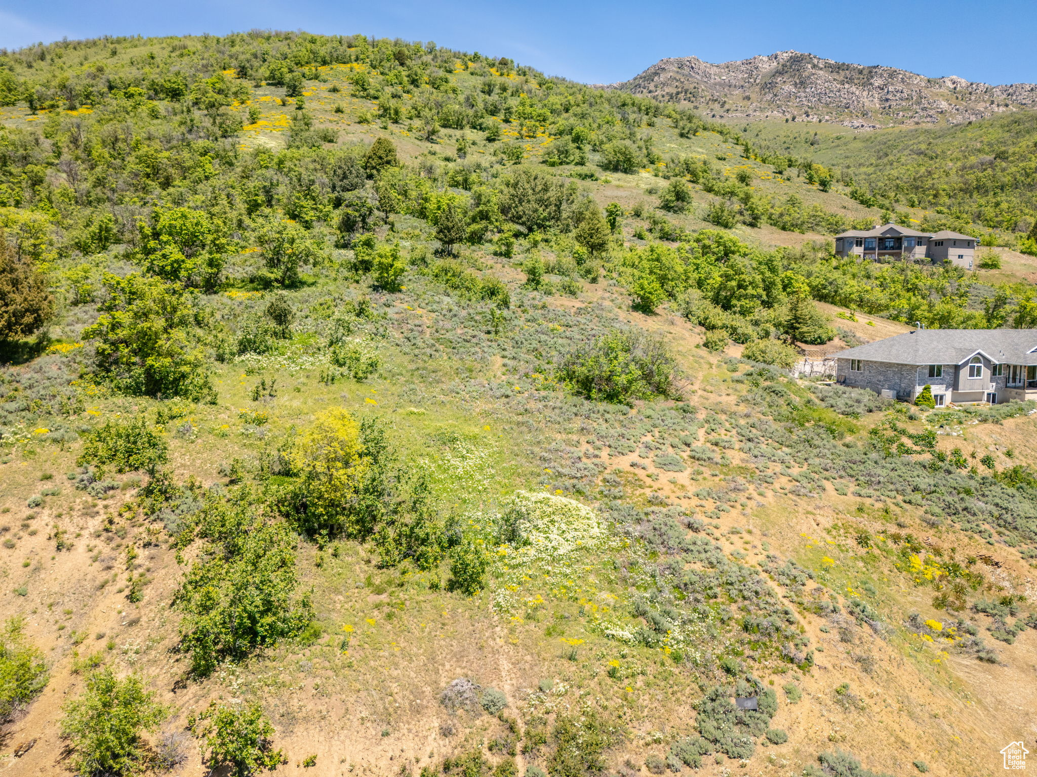 9658 E Kelley Dr #65, Huntsville, Utah image 23