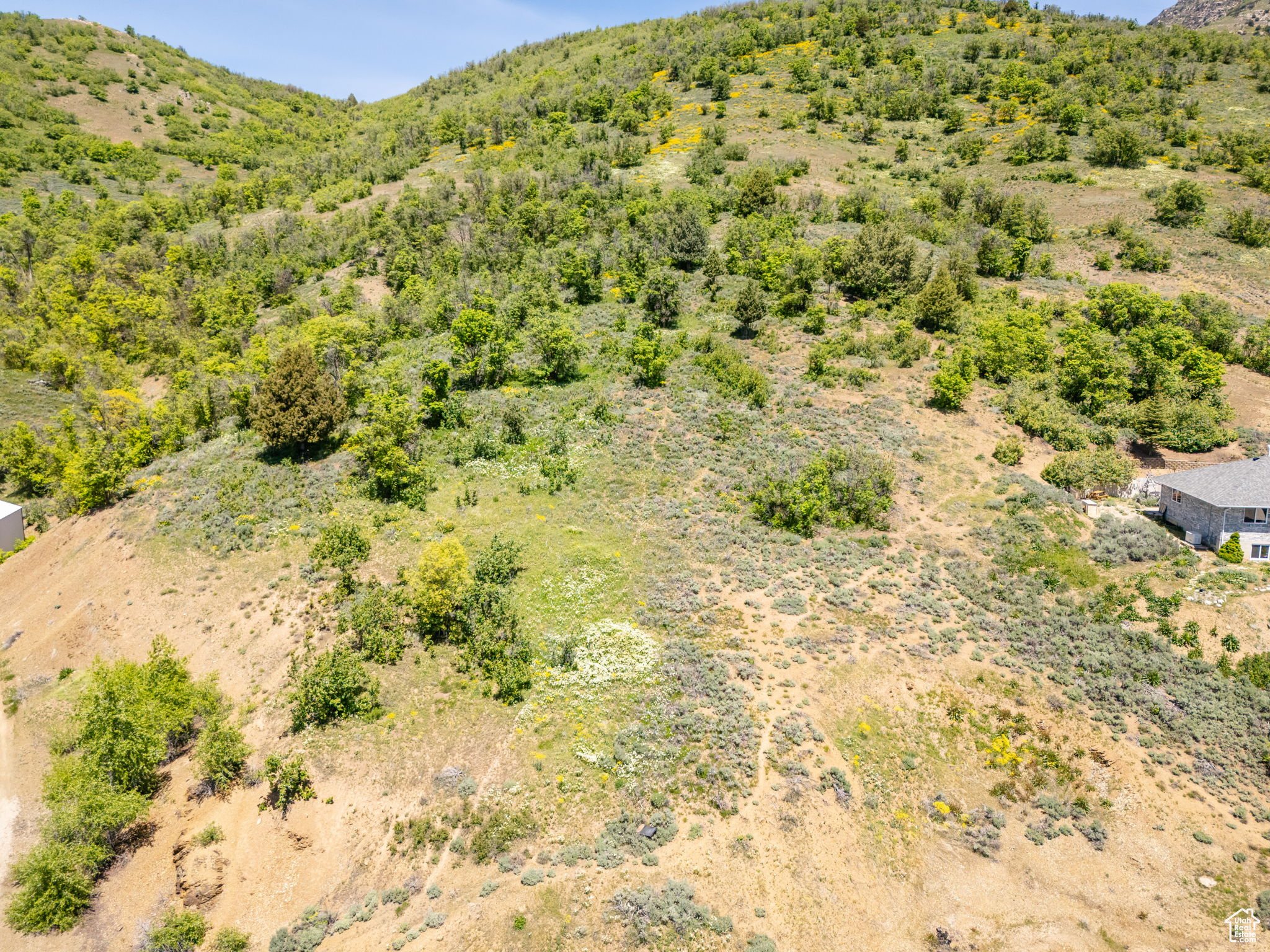 9658 E Kelley Dr #65, Huntsville, Utah image 24