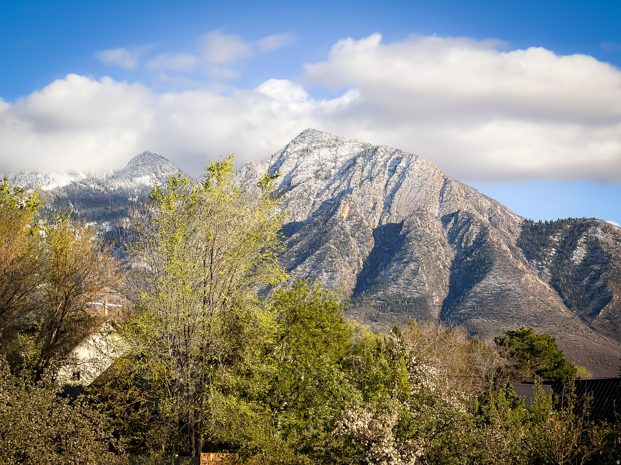 BRISTOL GREEN SUB - Residential