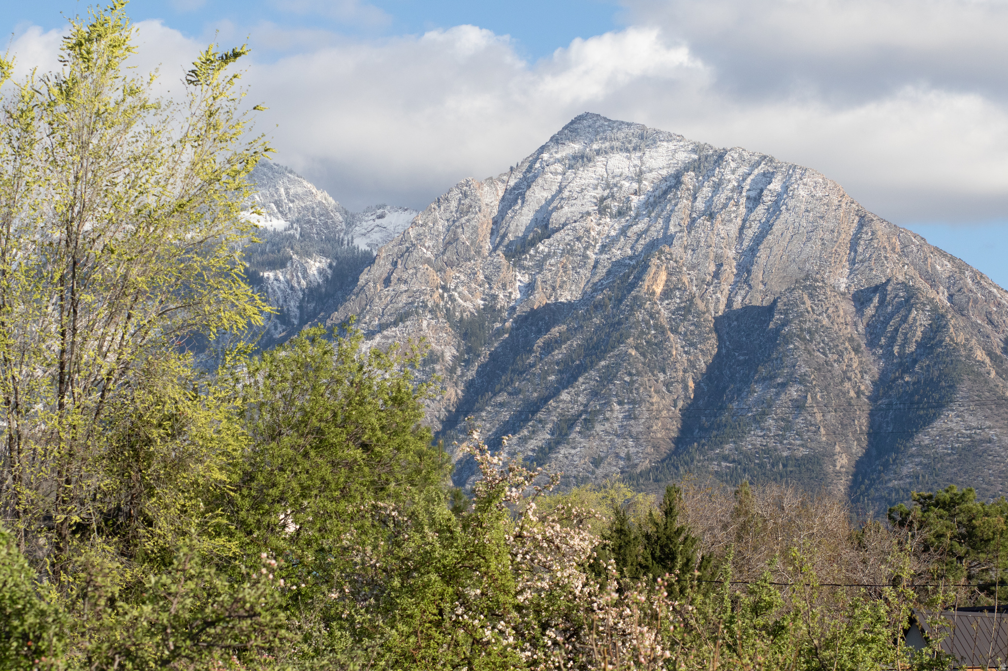 BRISTOL GREEN SUB - Residential