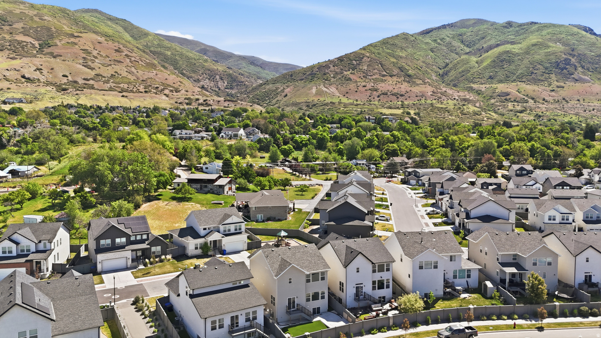 THE ROSE - Residential