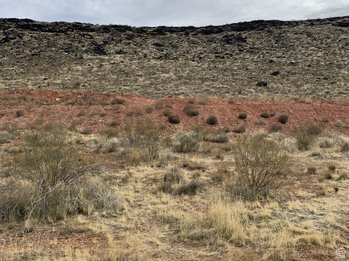 DIXIE SPRINGS - Land