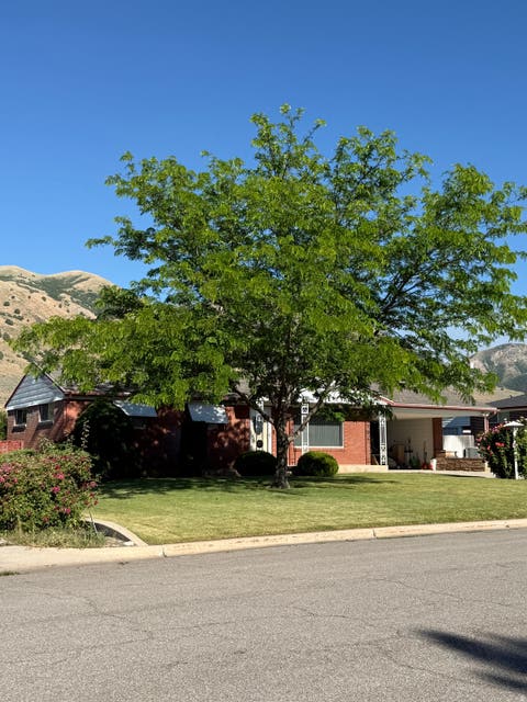 Tiny photo for 560 N 500 E, Brigham City, UT 84302 (MLS # 2167180)