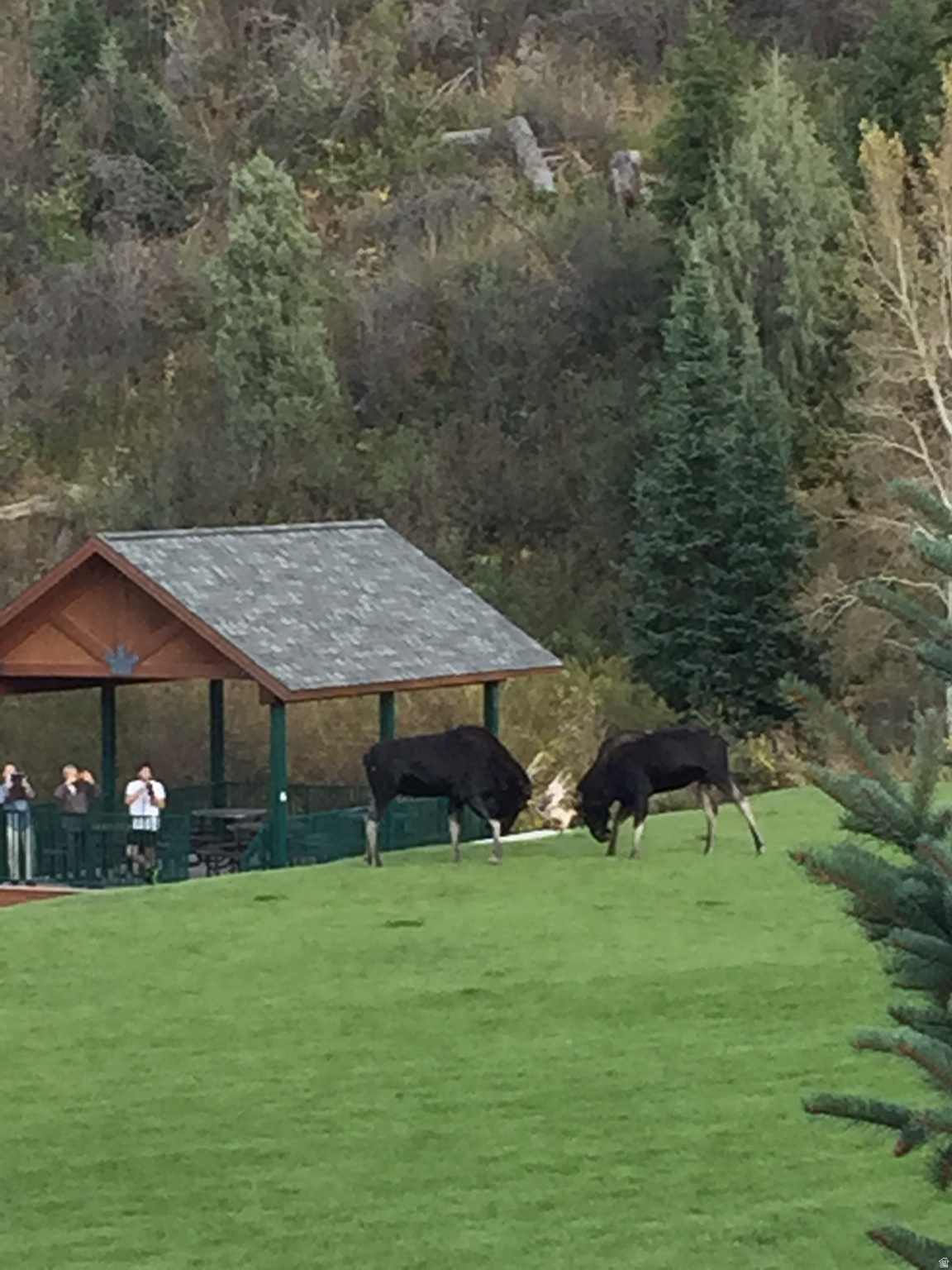 ECKER HILL - Residential