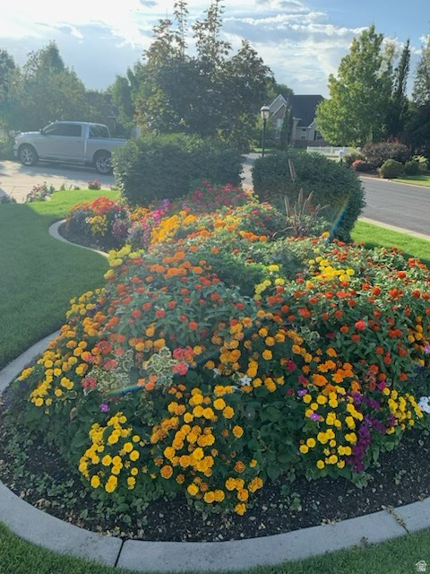 WINDSOR MEADOWS - Residential