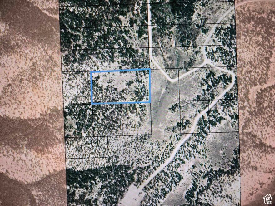 10 acres off grid in the high country!  Lots of pine trees! View lot overlooking the mountains, the valleys, and the expanse of the big sky, day and night!  Designated Dark Sky for your Family Astronomers!  And of course, the ever present deer herds!  No amenities, but lots of adventure and lots of privacy!  Additional 5 acres also available bordering this one!