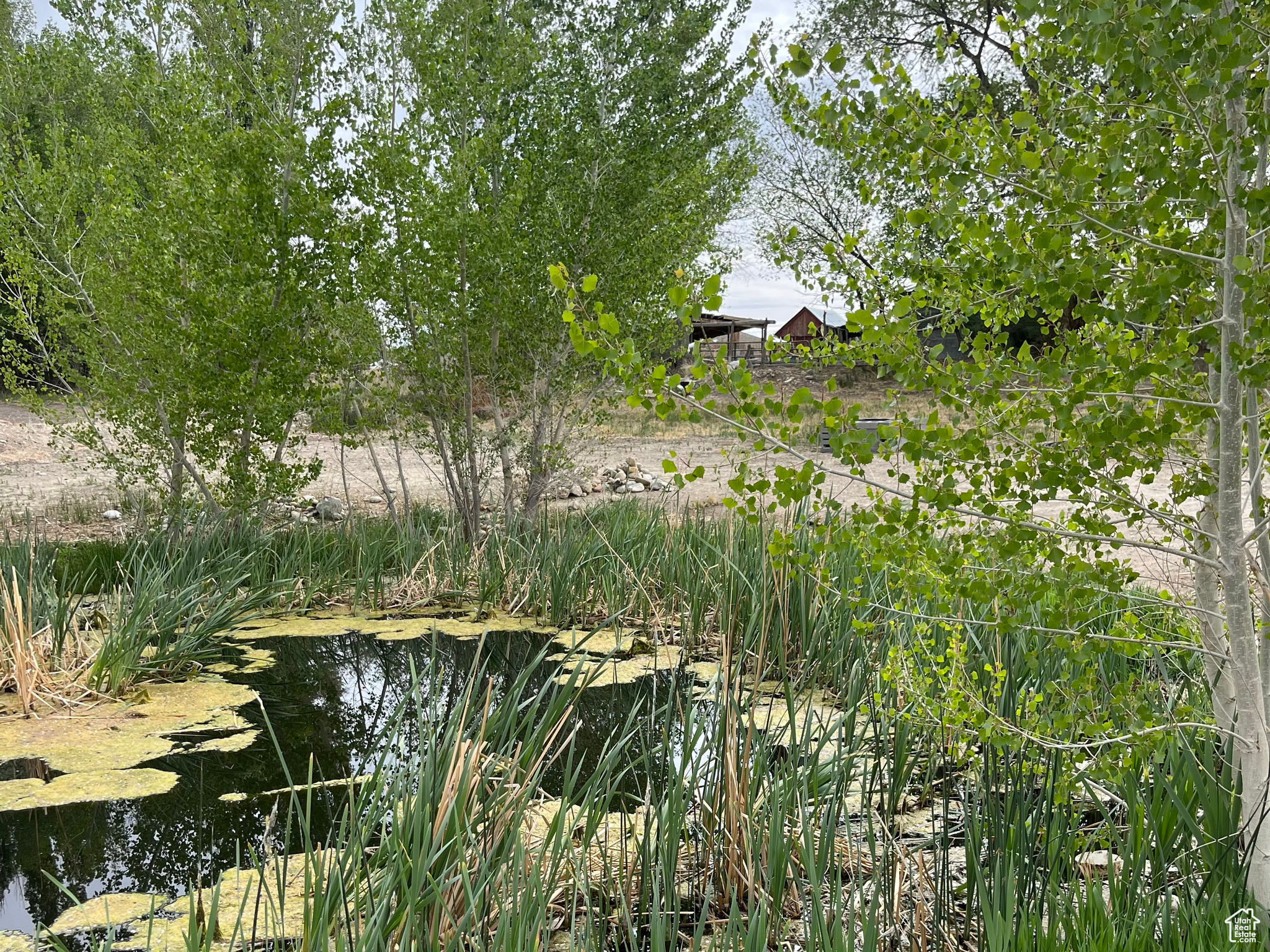 125 E Mill Rd, Ferron, Utah image 30