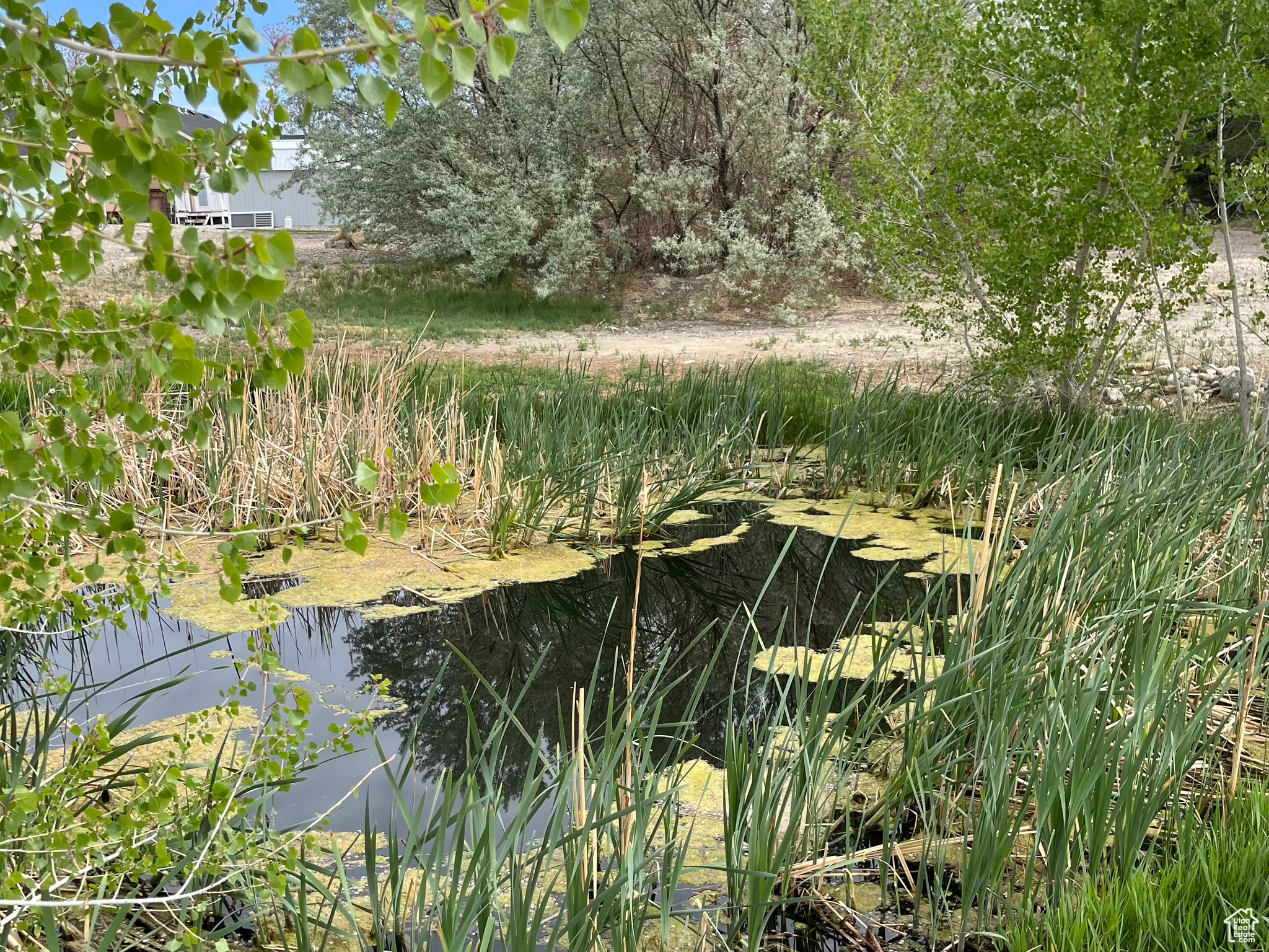 125 E Mill Rd, Ferron, Utah image 29