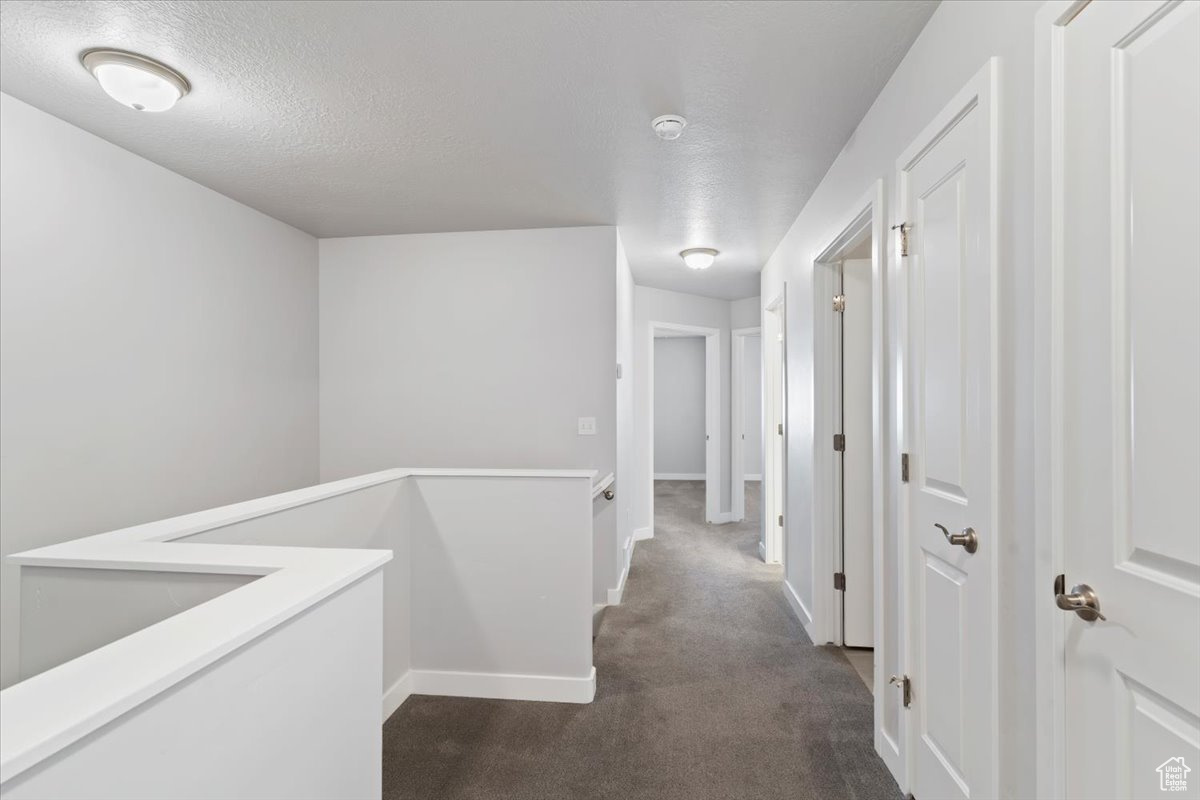 SALT POINT - Residential