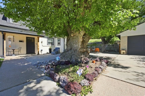 Tiny photo for 2020 ROBINS AVE, Ogden, UT 84401 (MLS # 2183863)