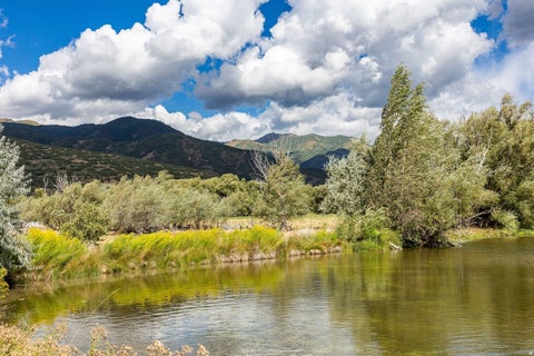 Tiny photo for 378 W 500 S #1, Midway, UT 84049 (MLS # 2184025)