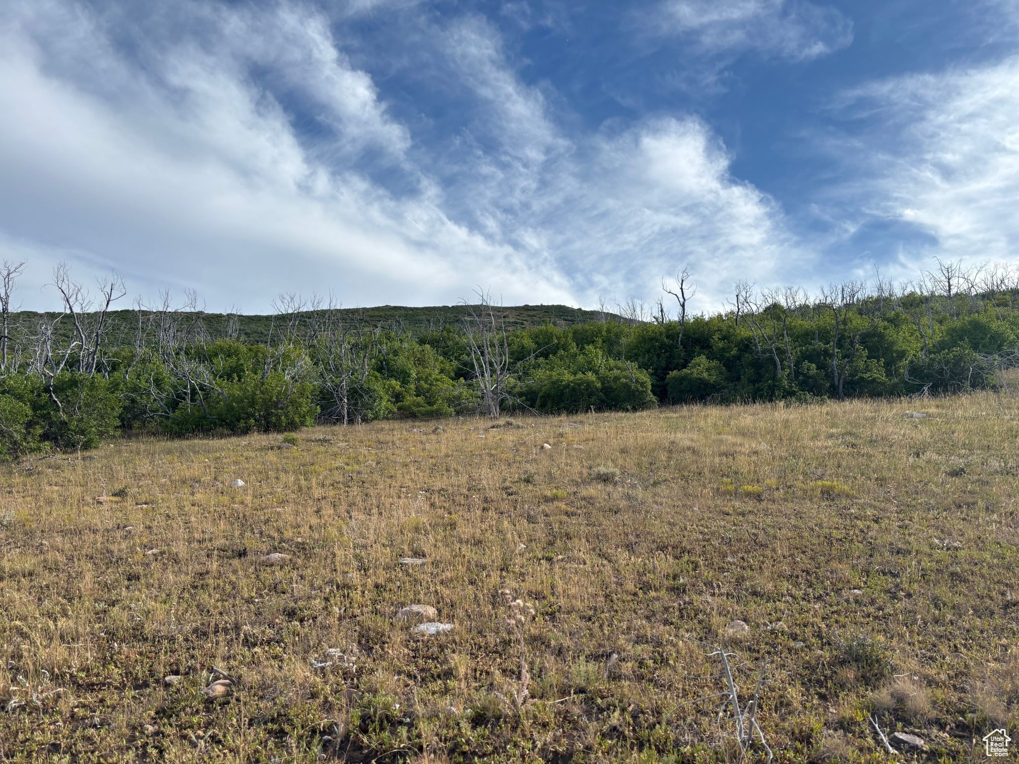 PLAT M / INDIAN RIDGE - Land