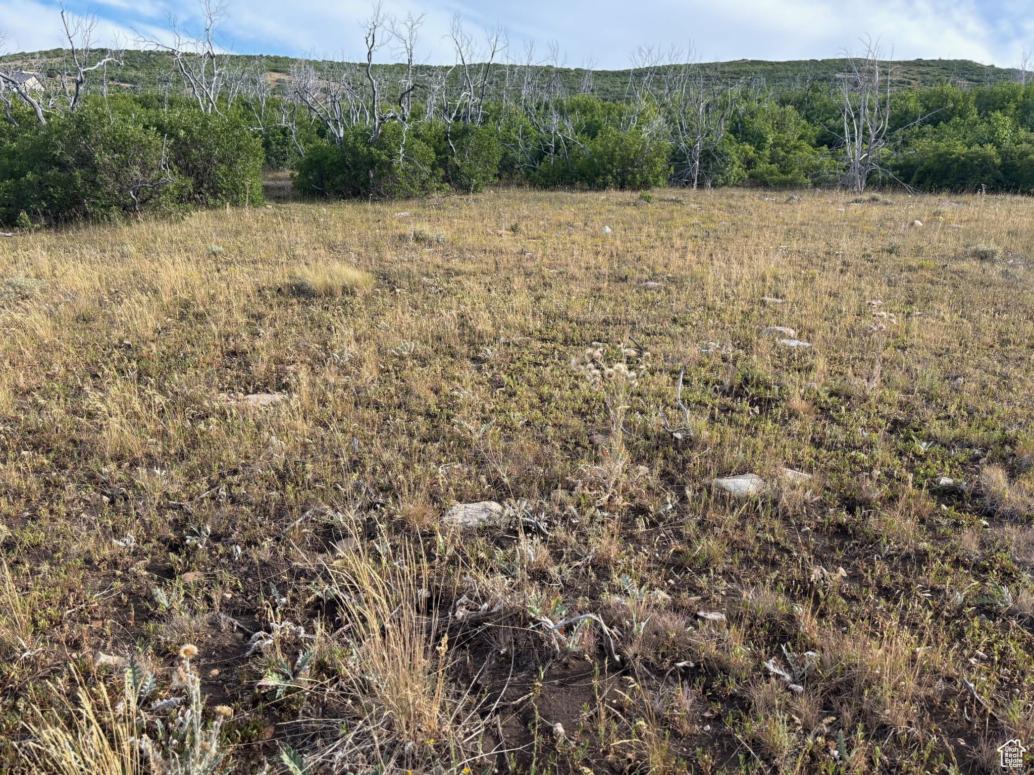 PLAT M / INDIAN RIDGE - Land