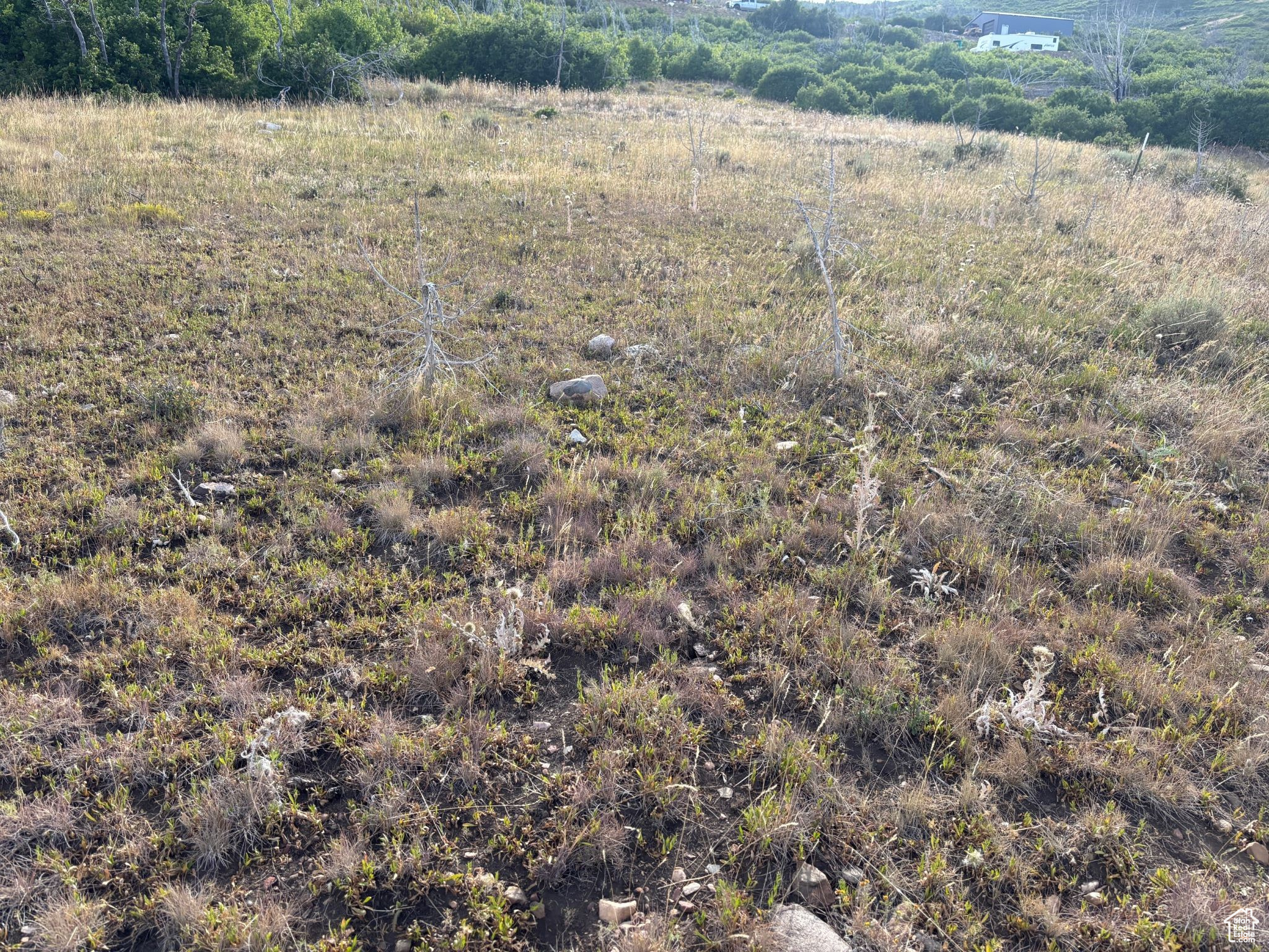 PLAT M / INDIAN RIDGE - Land