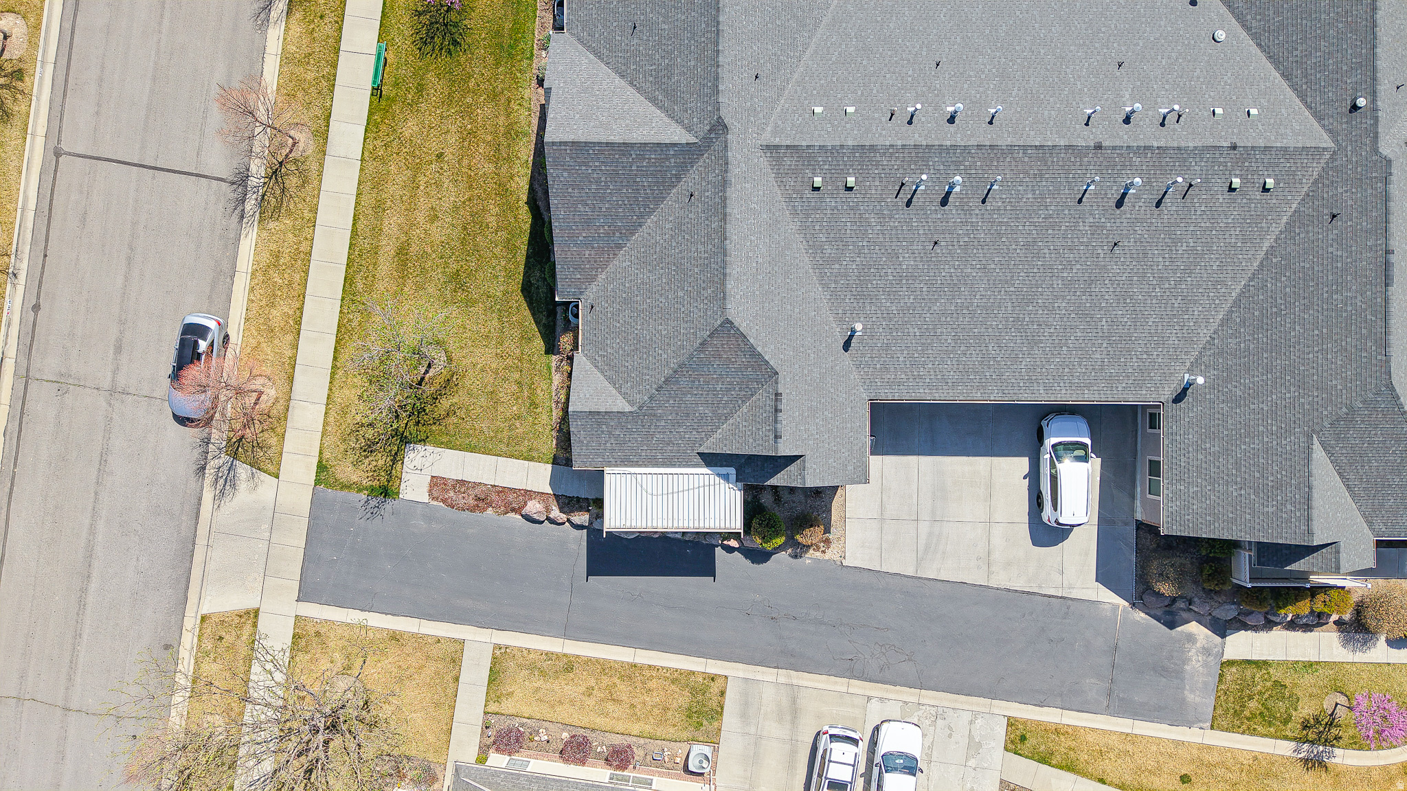 SPRINGBROOK VILLAS - Residential