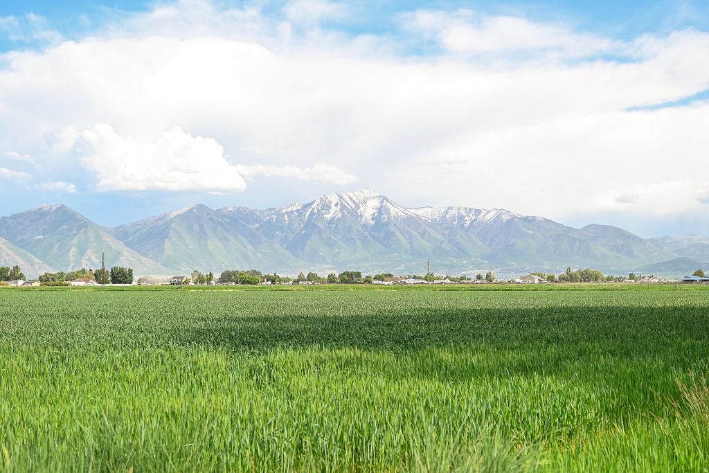 Photo of 3445 W 5200 S, Benjamin, UT 84660 (MLS # 2130060)