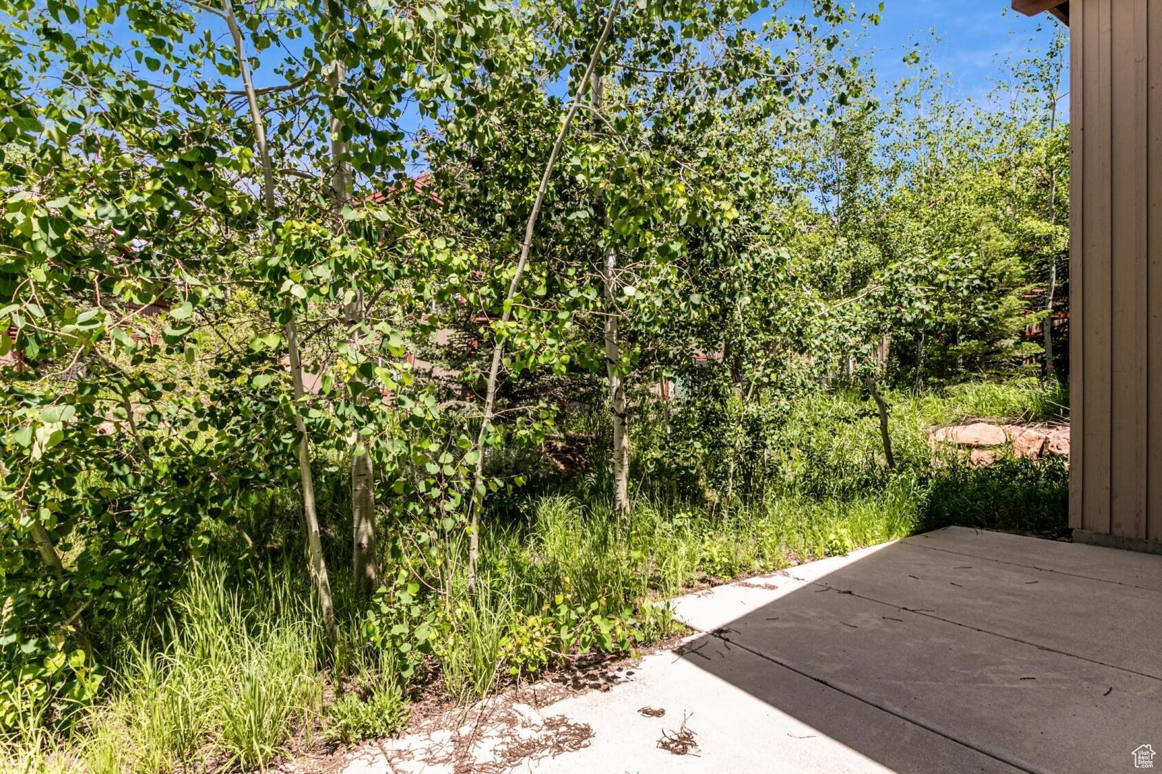 8437 Pointe Dr, Park City, Utah image 31
