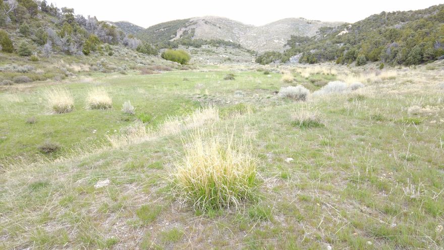 Ranch with year round cattle grazing; winter and summer grazing options. Nice functional working corral with loading chute, hydraulic cattle chute, and separate calf alley and calf table. A second sorting corral is on the east side of the ranch. Stock water with various ponds and a gravity system to troughs located throughout the ranch. Fenced perimeter with cross fencing for rotating and optimizing pasture. Hunting with landowner tags is available. This is a large acreage with open surroundings. Utilize this year round cattle grazing ranch to add to your grazing base or simplify and keep all your cattle in one location, this ranch has options.