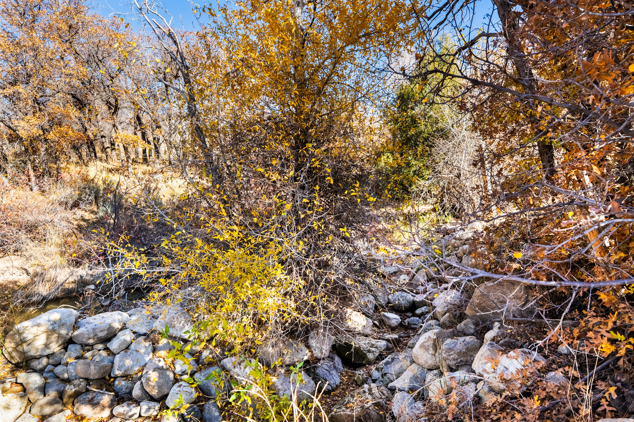 PLAT A, PLEASANT CREEK ESTATES - Residential