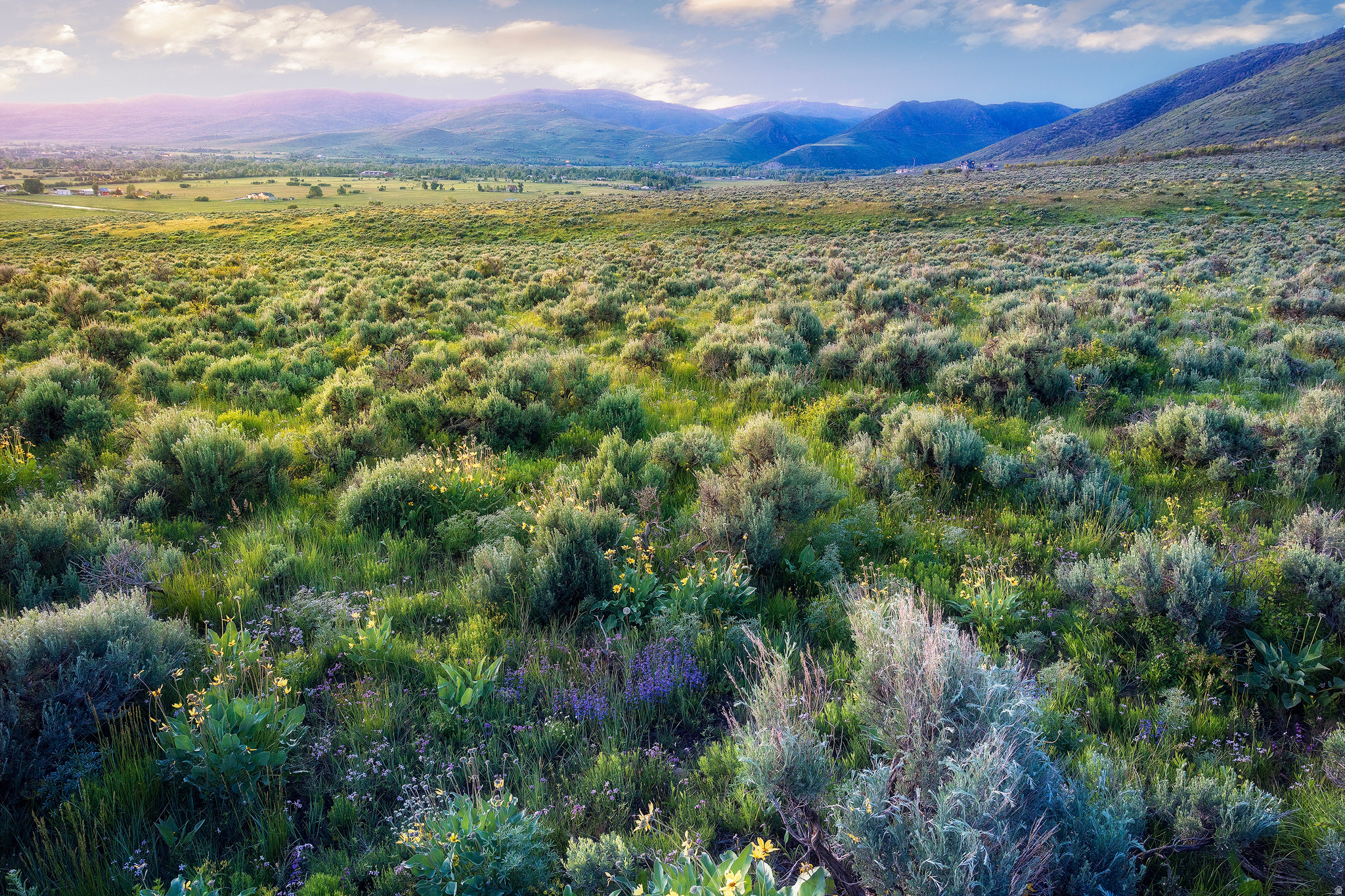 HOYT PEAK RANCH - Land
