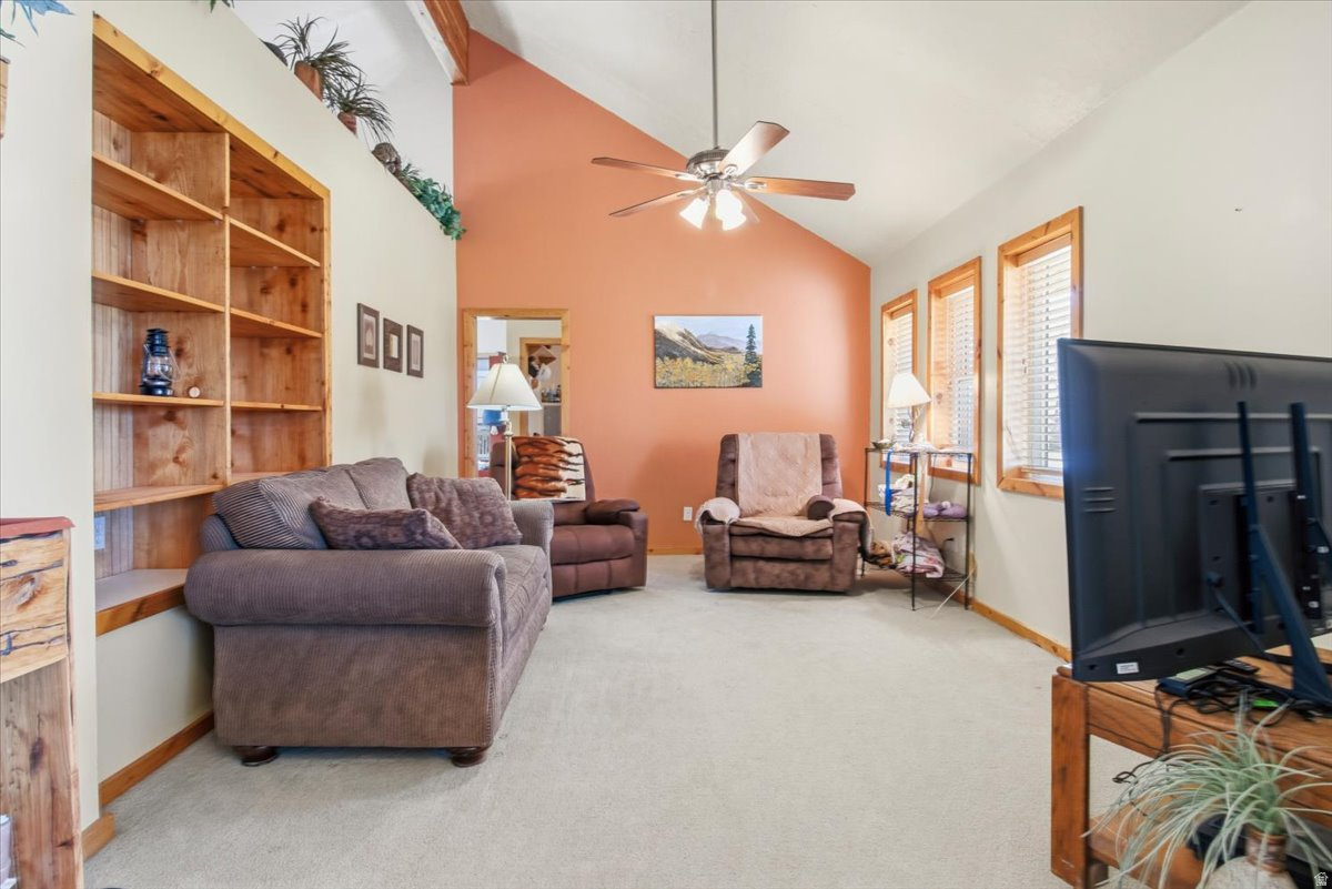 YOUNG PROPERTY - Residential