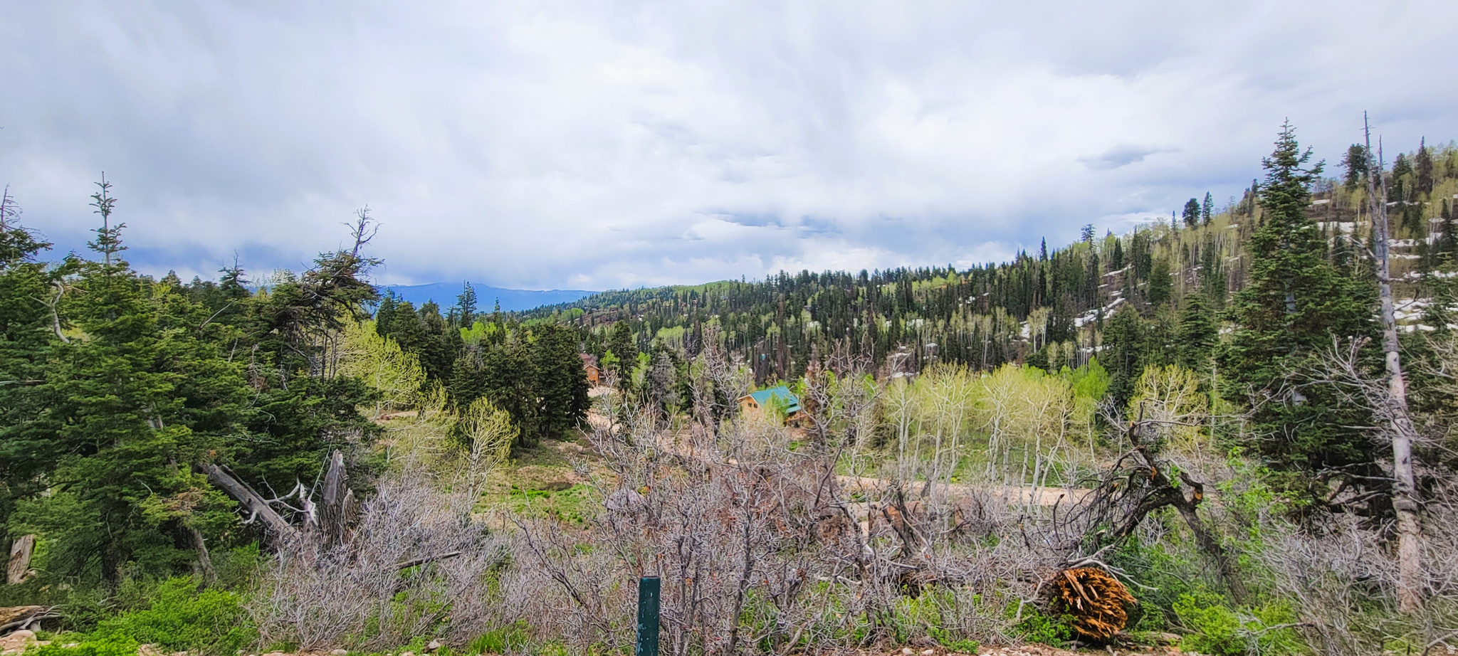 PINE MEADOW RANCH - Land