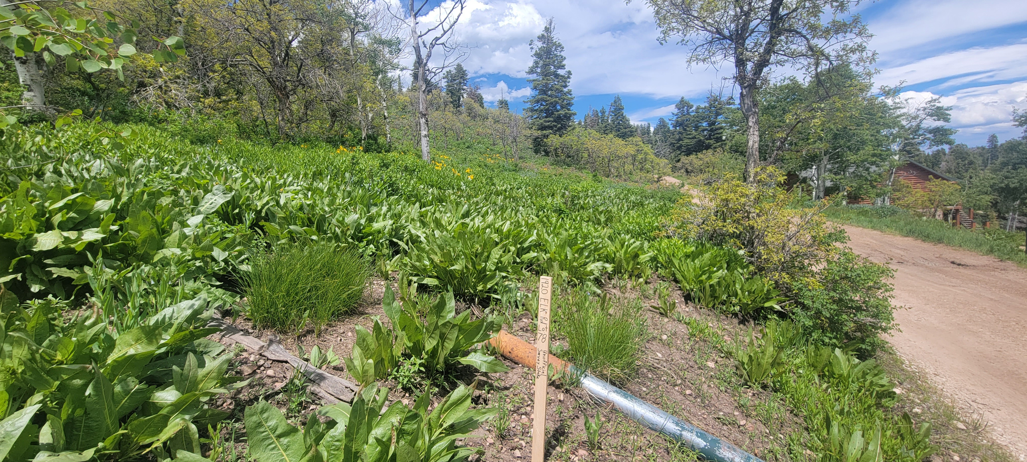 PINE MEADOW RANCH - Land