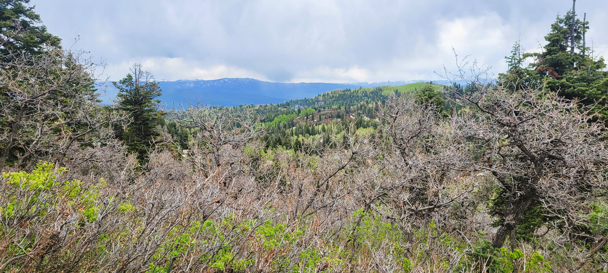 PINE MEADOW RANCH - Land