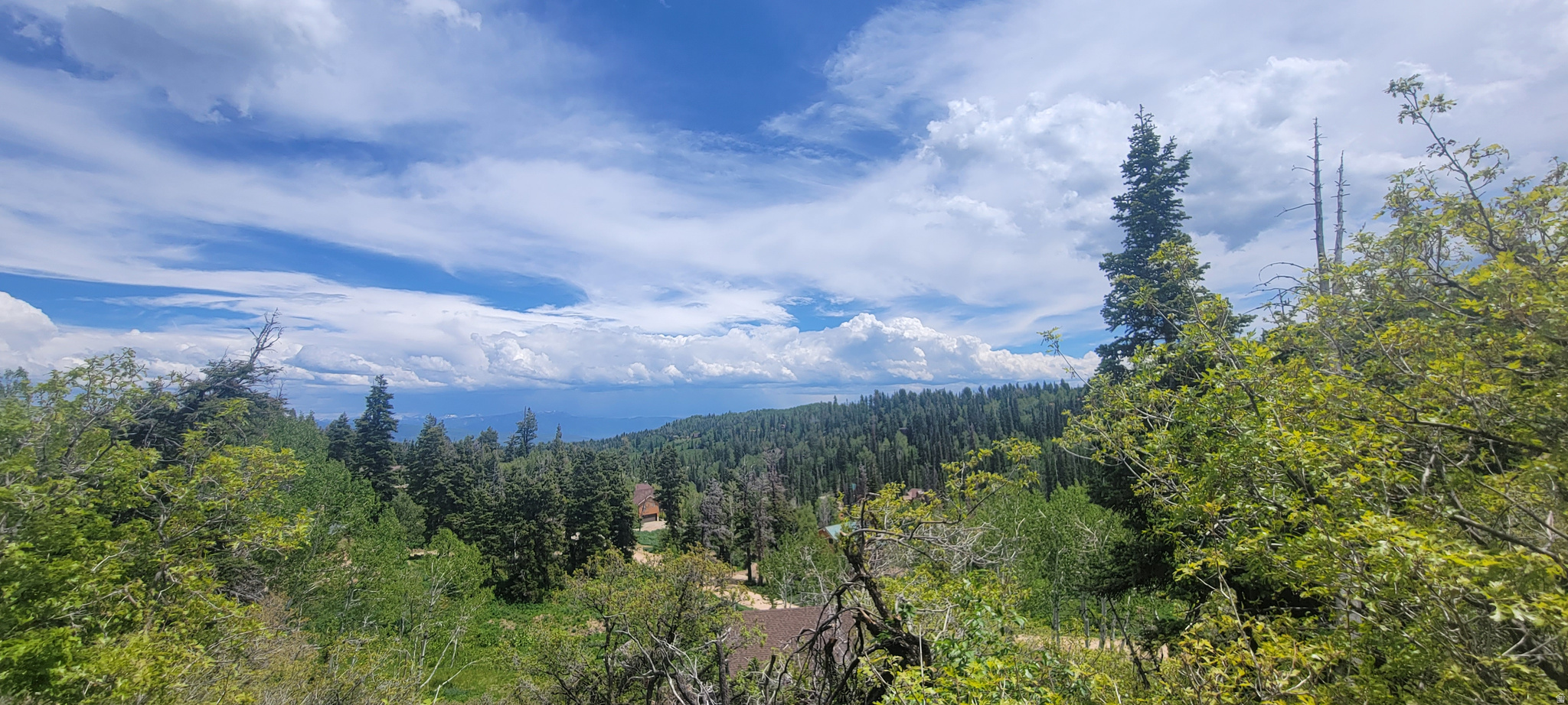PINE MEADOW RANCH - Land