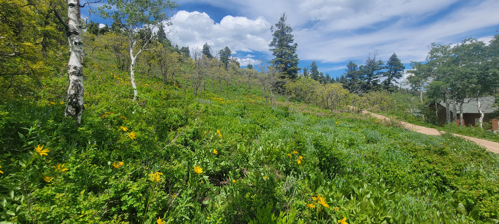 PINE MEADOW RANCH - Land