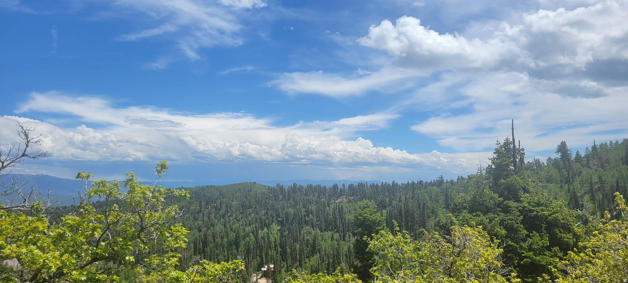 PINE MEADOW RANCH - Land